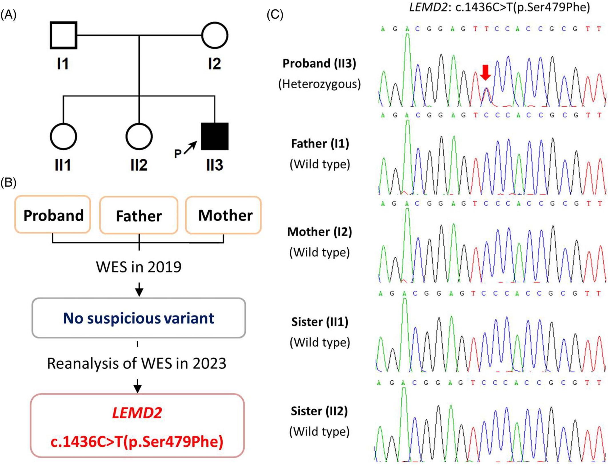 The third case of Marbach-Rustad progeroid syndrome caused by a de novo LEMD2 variant