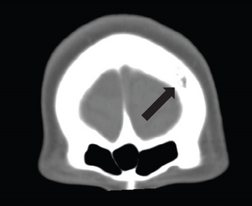 Details are in the caption following the image