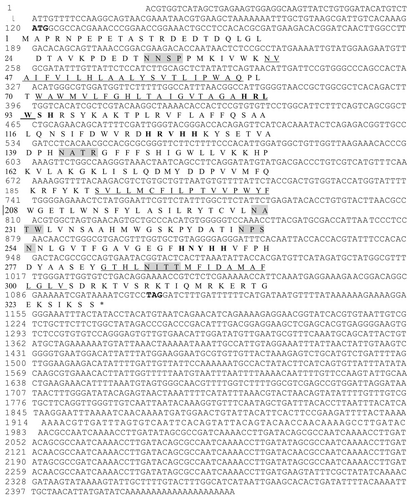 Details are in the caption following the image Details are in the caption following the image