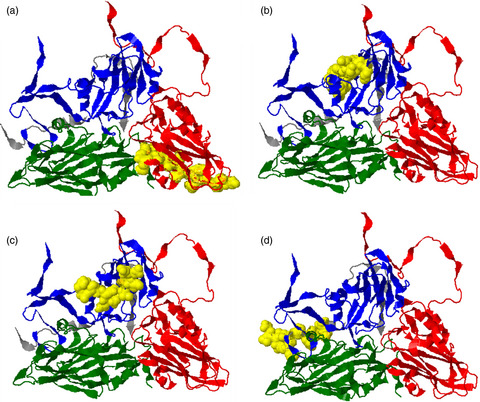 The detection of long-lasting memory foot-and-mouth disease (FMD) virus serotype O-specific CD4+ T cells from FMD-vaccinated cattle by bovine major histocompatibility complex class II tetramer
