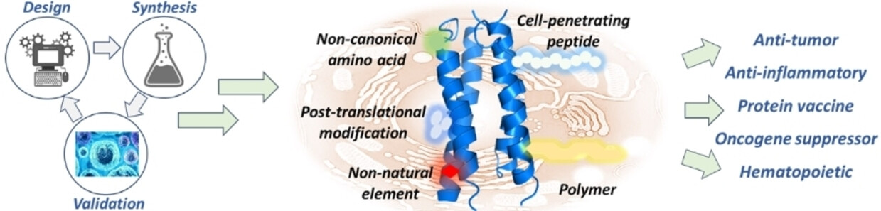 Chemical Synthesis of Bioactive Proteins