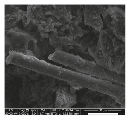 Details are in the caption following the image