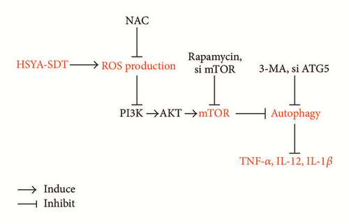 Details are in the caption following the image