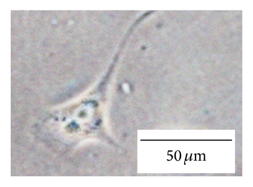 Details are in the caption following the image