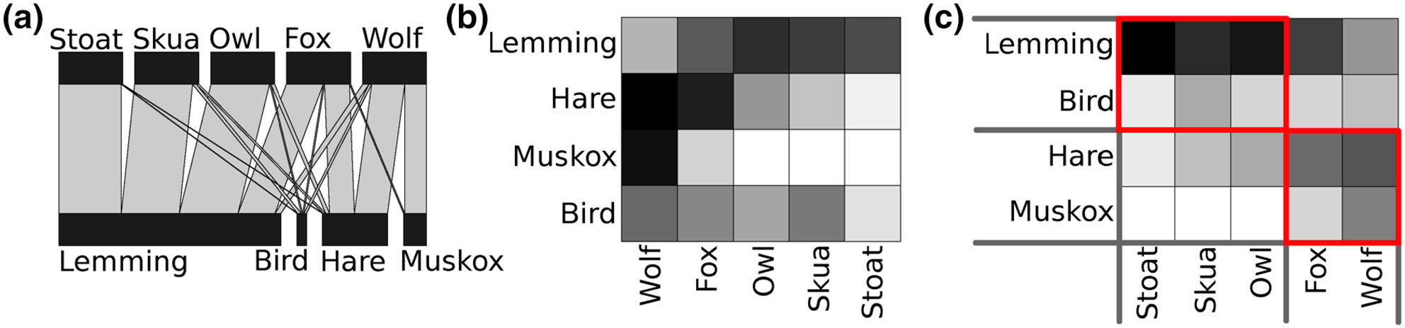 Properties of vertebrate predator–prey networks in the high Arctic