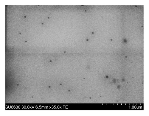 Details are in the caption following the image