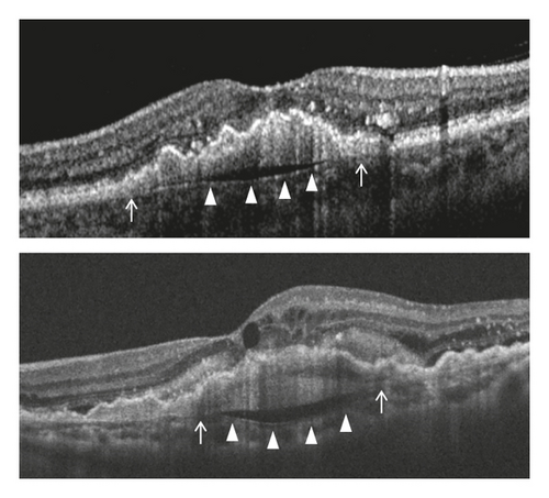 Details are in the caption following the image Details are in the caption following the image