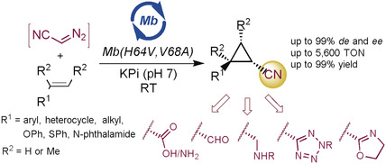 Highly Diastereo- and Enantioselective Synthesis of Nitrile-Substituted Cyclopropanes by Myoglobin-Mediated Carbene Transfer Catalysis