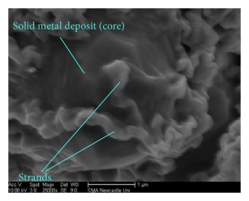 Details are in the caption following the image