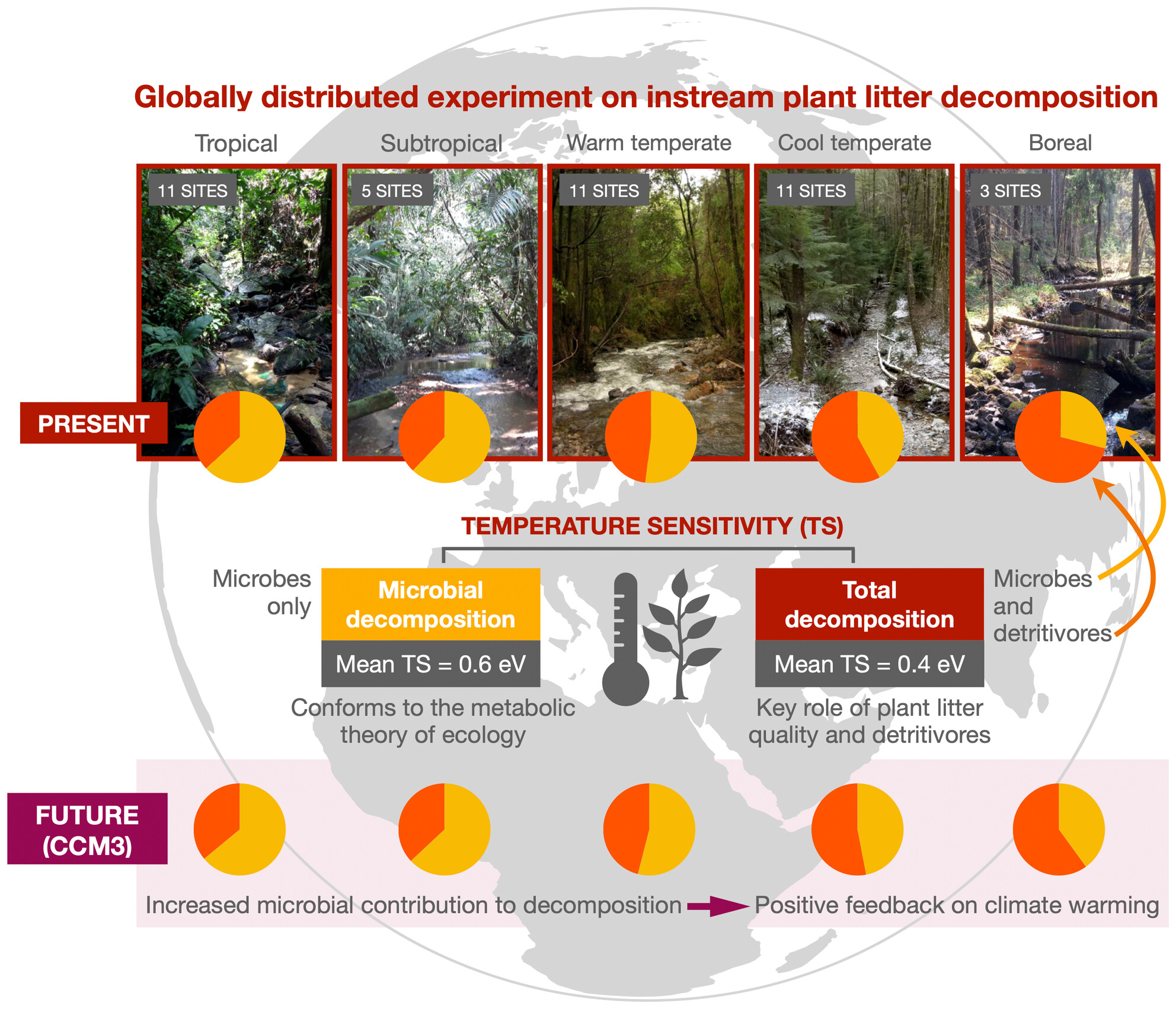Positive Feedback on Climate Warming by Stream Microbial Decomposers Indicated by a Global Space-For-Time Substitution Study