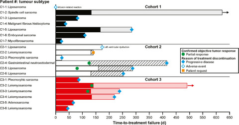 Phase 1 study of olaratumab plus doxorubicin in Japanese patients with advanced soft-tissue sarcoma
