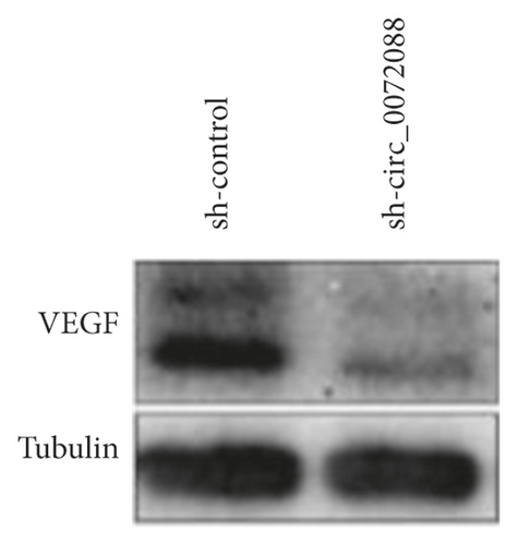 Details are in the caption following the image