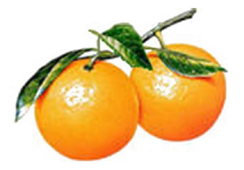 Details are in the caption following the image