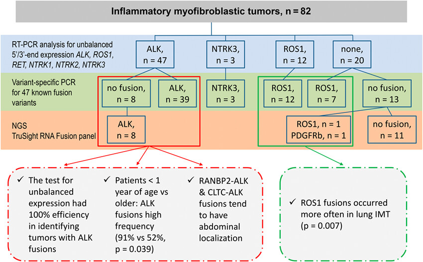 Spectrum of kinase gene rearrangements in a large series of paediatric inflammatory myofibroblastic tumours