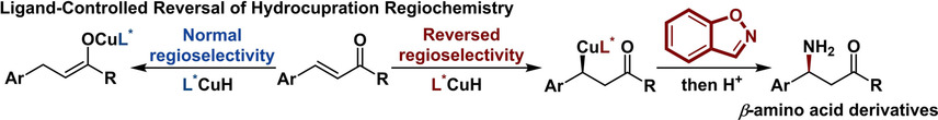 Enantioselective Synthesis of β-Amino Acid Derivatives Enabled by Ligand-Controlled Reversal of Hydrocupration Regiochemistry