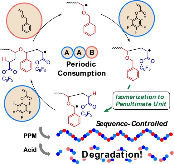 Umpolung Isomerization in Radical Copolymerization of Benzyl Vinyl Ether with Pentafluorophenylacrylate Leading to Degradable AAB Periodic Copolymers