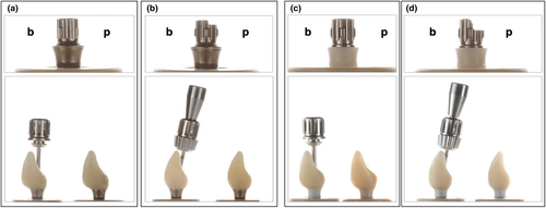 Details are in the caption following the image Details are in the caption following the image