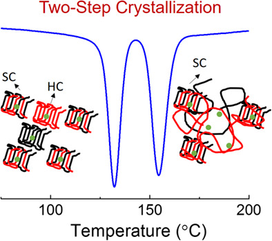 Promoted stereocomplex formation and two-step crystallization kinetics of poly(l-lactic acid)/poly(d-lactic acid) blends induced by nucleator