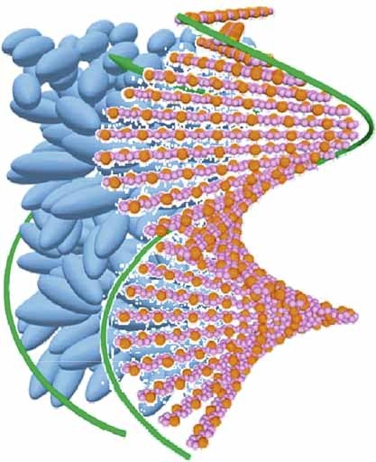 Reconstruction of Achiral Polymer for Structural Chirality Using Cholesteric Liquid Crystal Medium and Light-Driven Chiroptic Modulation
