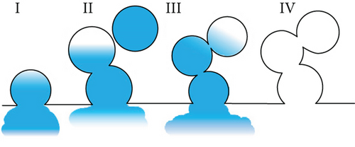 Details are in the caption following the image