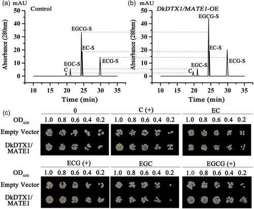 Details are in the caption following the image Details are in the caption following the image