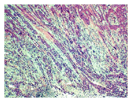 Details are in the caption following the image