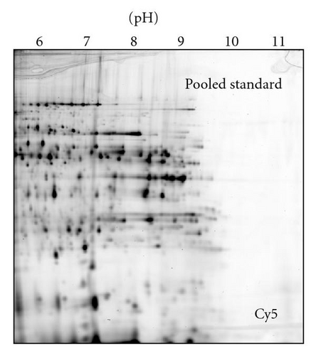 Details are in the caption following the image