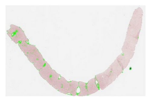 Details are in the caption following the image