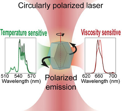 Unlocking Single-Particle Multiparametric Sensing: Decoupling Temperature and Viscosity Readouts through Upconverting Polarized Spectroscopy