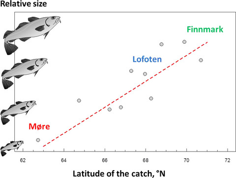 Ticket to spawn: Combining economic and genetic data to evaluate the effect of climate and demographic structure on spawning distribution in Atlantic cod