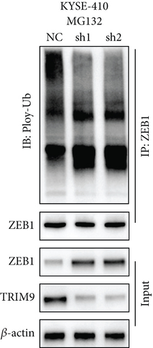 Details are in the caption following the image