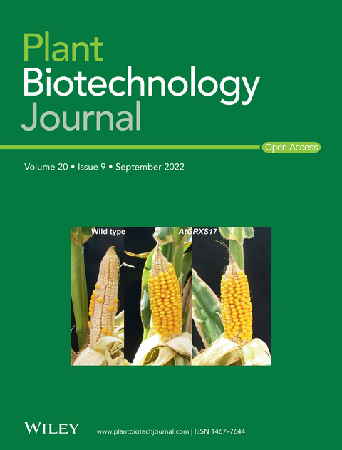 Issue Information