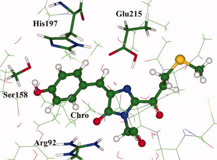 Modeling absorption of the kindling fluorescent protein with the neutral form of the chromophore
