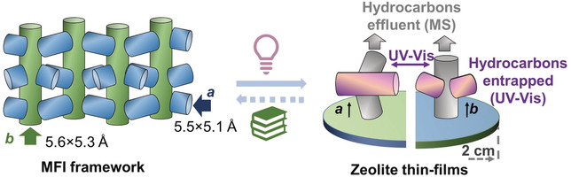 Disentangling Reaction Processes of Zeolites within Single-Oriented Channels