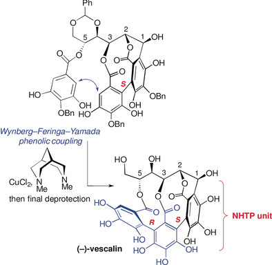 Bioinspired Total Synthesis of (−)-Vescalin: A Nonahydroxytriphenoylated C-Glucosidic Ellagitannin