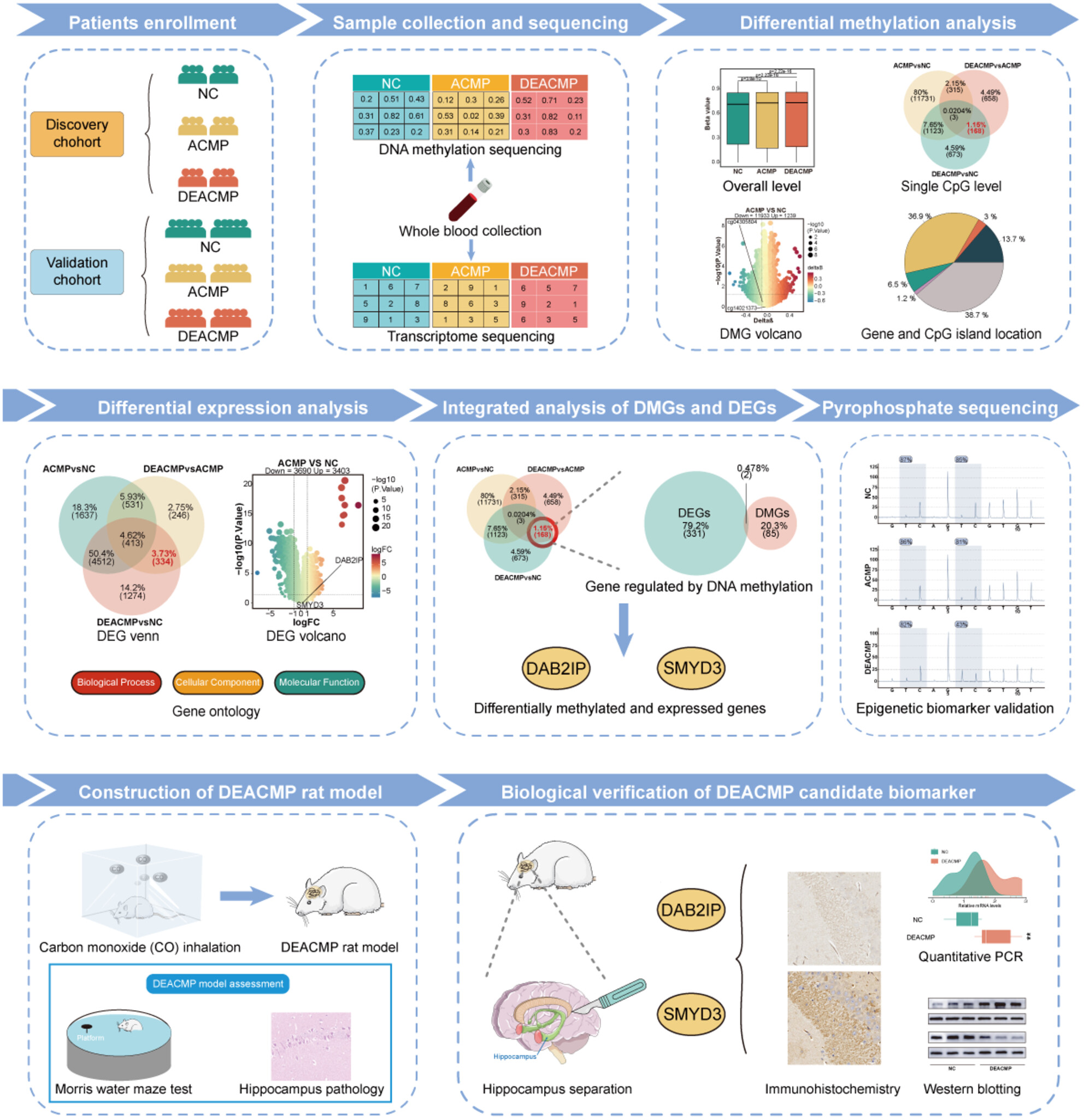 Integration of Methylation and Gene Expression Deciphered Candidate Biomarkers DAB2IP and SMYD3 in Delayed Encephalopathy After Carbon Monoxide Poisoning