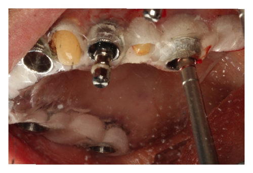 Details are in the caption following the image Details are in the caption following the image