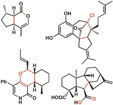 Enzymatic Cascade Reactions in Biosynthesis