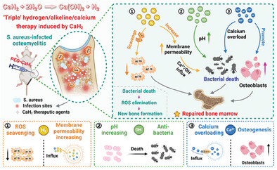 Bioactive Calcium Hydride-Driving “Triple” Hydrogen/Alkaline/Calcium Therapy for Efficient Treatment of Osteomyelitis