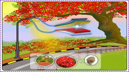 Triboelectric Nanogenerator Based on Biowaste Tribopositive Delonix Regia Flowers Powder