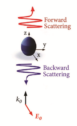 Details are in the caption following the image