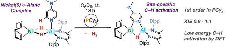 C(sp2)─H Bond Activation with a Heterometallic Nickel-Aluminium Complex