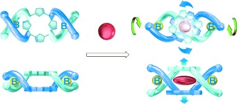 Guest-Induced Unidirectional Dual Rotary and Twisting Motions of a Spiroborate-Based Double-Stranded Helicate Containing a Bisporphyrin Unit