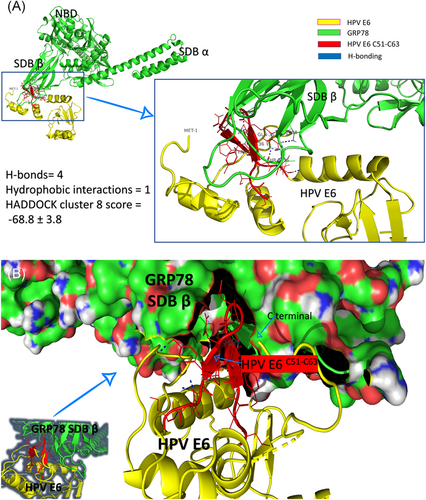 Details are in the caption following the image