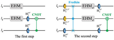 Heralded and Complete Interconversion Between W State and Knill–Laflamme–Milburn State via State-Selective Reflection with Robust Fidelity