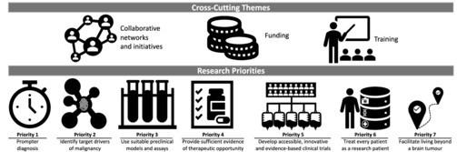 Adult brain tumour research in 2024: Status, challenges and recommendations