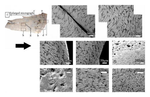 Details are in the caption following the image