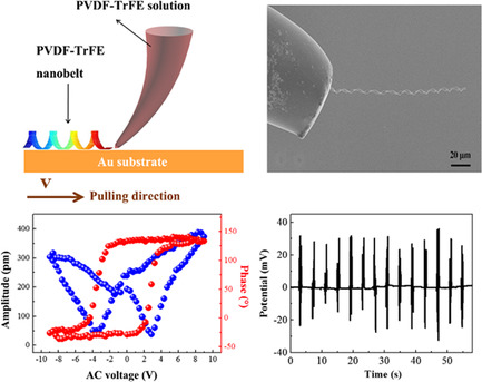 Piezoelectric Nanogenerators Based on Helical Carbon Materials and Polyvinyledenedifluoride–Trifluoroethylene Hybrids with Enhanced Energy-Harvesting Performance