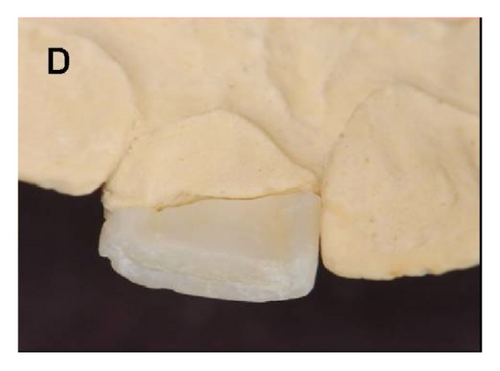 Details are in the caption following the image