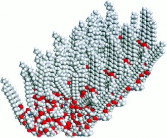 Nanofibers from Functionalized Dendritic Molecules
